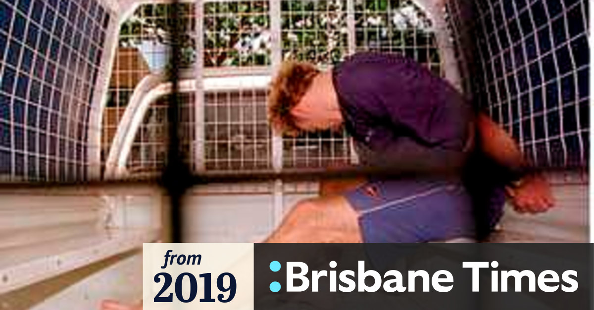 Associate of 'Postcard Bandit' refused bail